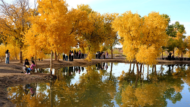 30省份三季报出炉，这个西部省份为何领跑全国？