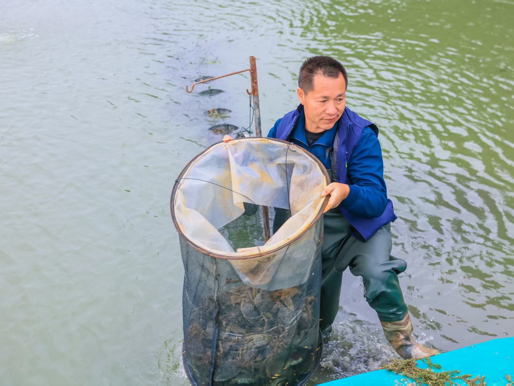 大闸蟹的江湖：正宗阳澄湖并不多见，短斤少两、卡券虚标却常有