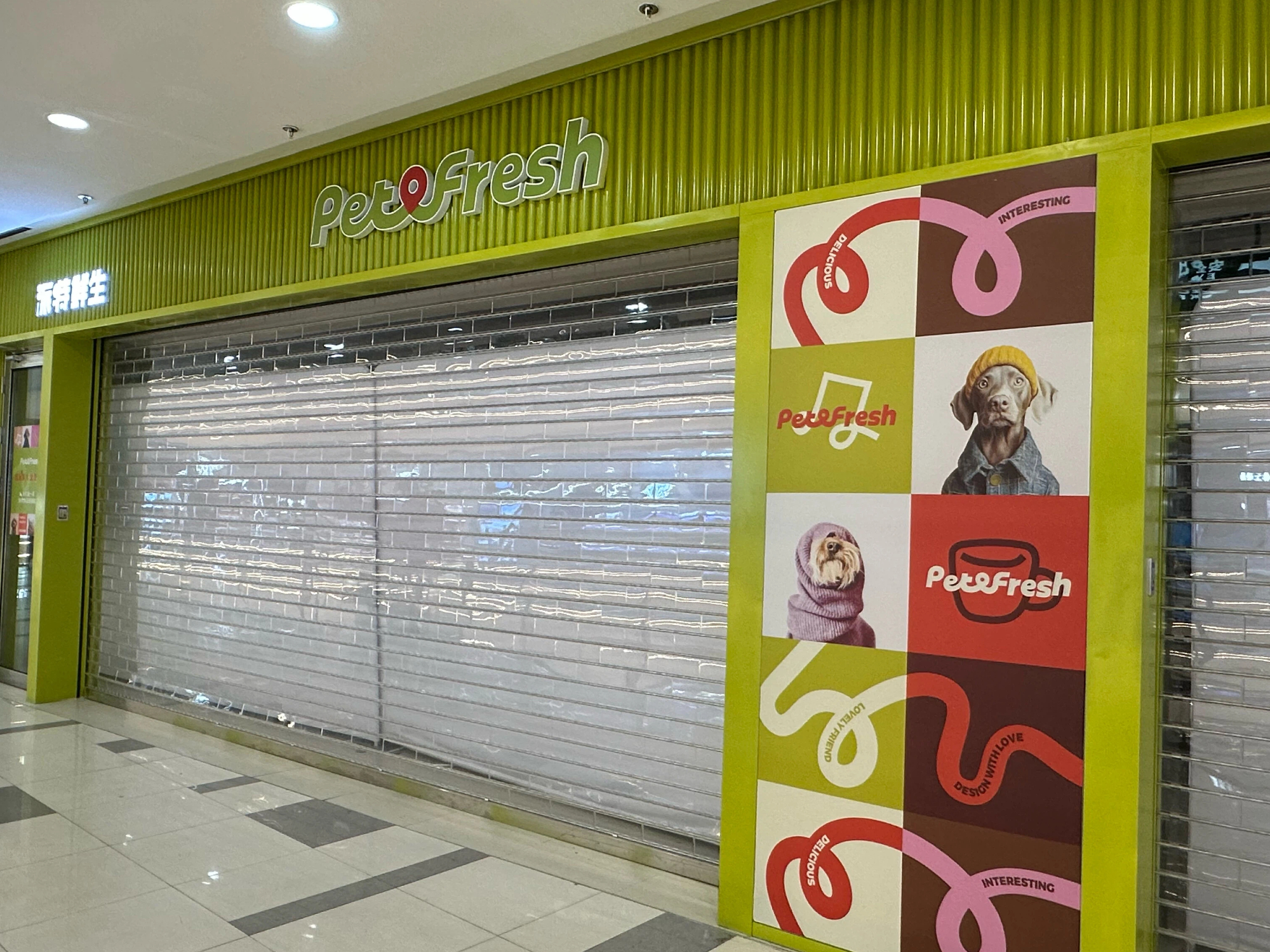 突发｜盒马创始人今年2月创立的“派特鲜生”，12月中旬将全部关闭