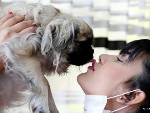 商业秘密｜宠物保险报销争议频发，千万养宠人何去何从