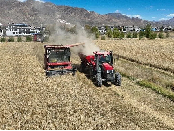 “十五五”发展县域经济，专家建议增发新型城镇化特别国债