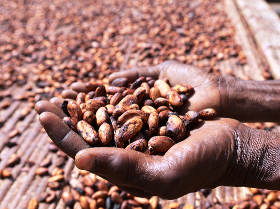 商业秘密｜咖啡豆涨价创历史新高：咖农欢呼，咖啡店苦撑降成本