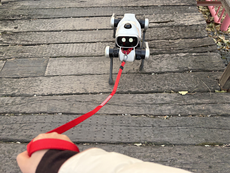 万元级消费机器狗走到家门口，真正的考验才刚开始