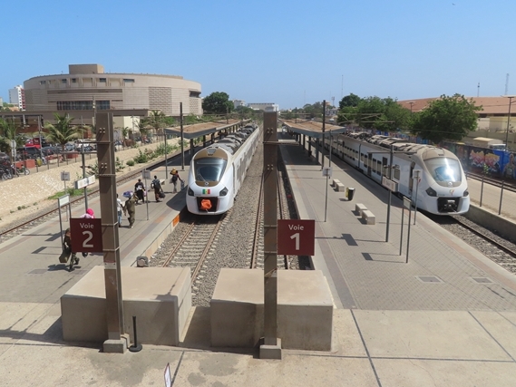 一粒起源于中国的种子，让塞内加尔草原飘稻香