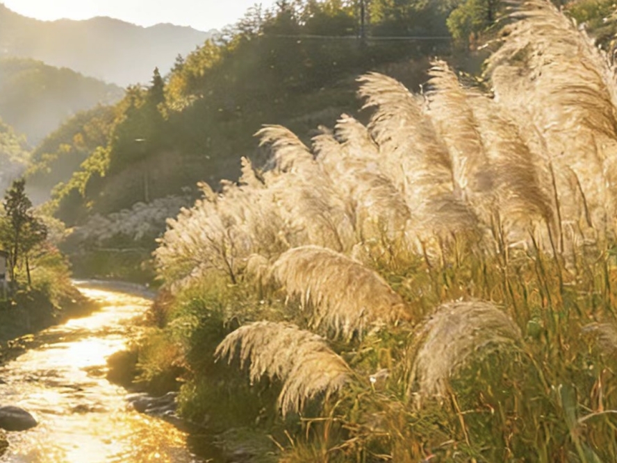 第一财经新年致读者：你是自己的第一作者