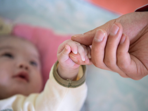 明年全国生娃基本不花钱，养娃也有一系列大招出台 