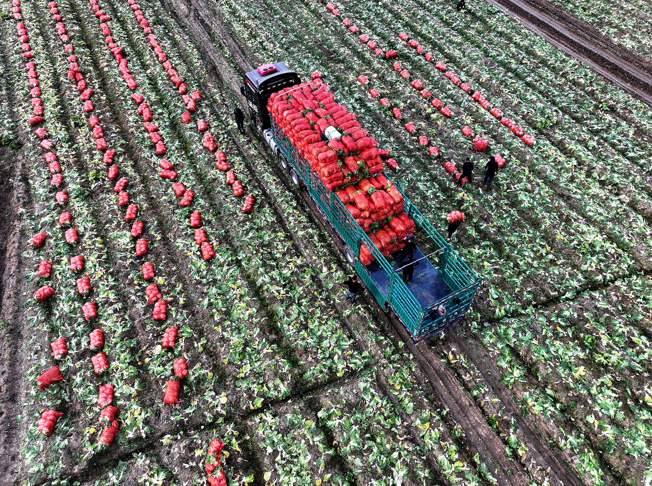 农村居民人均可支配收入2.4万元，促进农民就业增收将有新举措