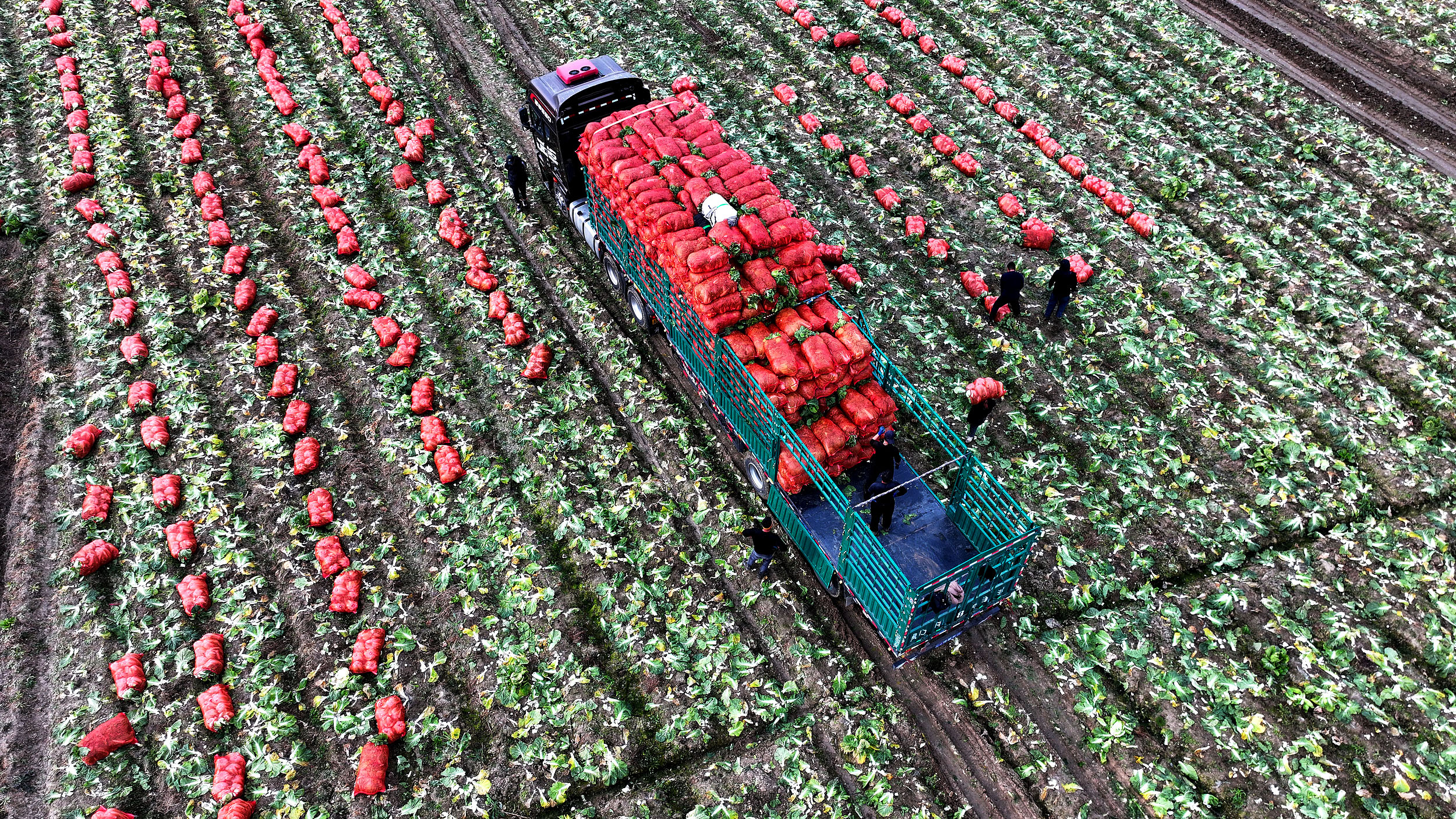 农村居民人均可支配收入2.4万元，促进农民就业增收将有新举措