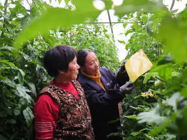 农村居民人均可支配收入2.4万元，促进农民就业增收将有新举措