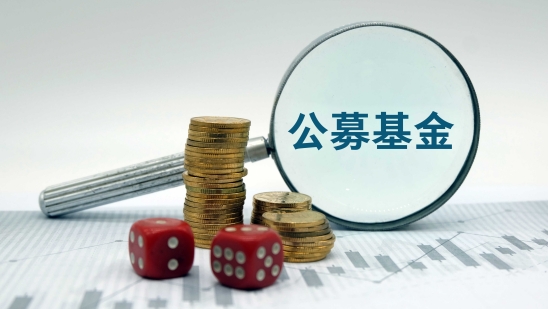 淳厚基金股权乱局落幕：长宁国投入主掌舵，柳志伟等4股东退出
