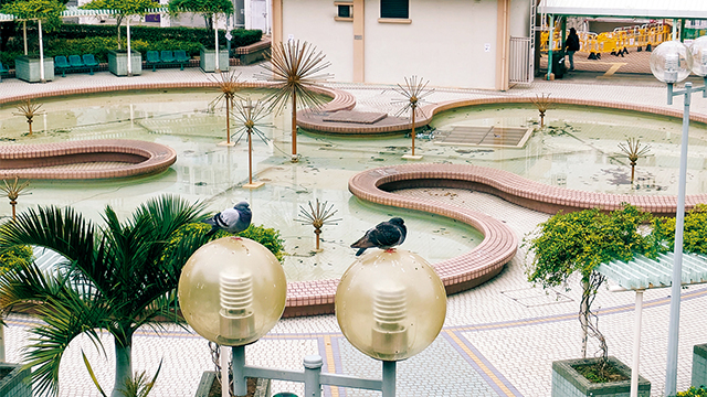 有故事丨如何打开感官在城市中散步？