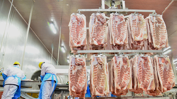 猪价7年新低，离历史最低只差3毛！上市猪企一季度“越卖越亏”