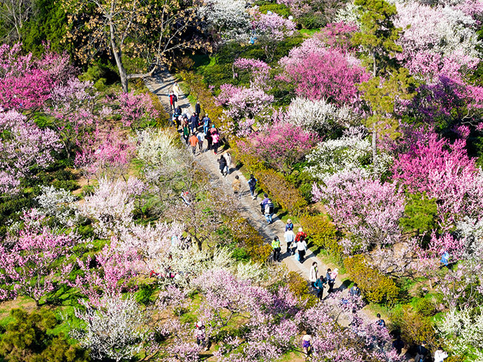 四川一高校放春假鼓励赏花恋爱，多地宣布春假清明连休6天