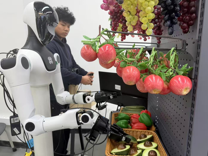 近5000平米的“数据工厂”里，人类手把手教机器人“洗盘子”