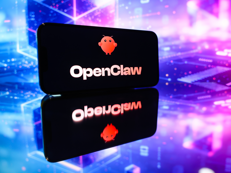 大公司，想养“龙虾”也不容易 | 海斌访谈