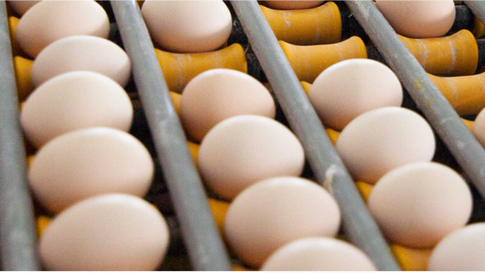 壹快评｜黄天鹅悄悄修改产品详情页，事关消费者知情权不容蒙混过关