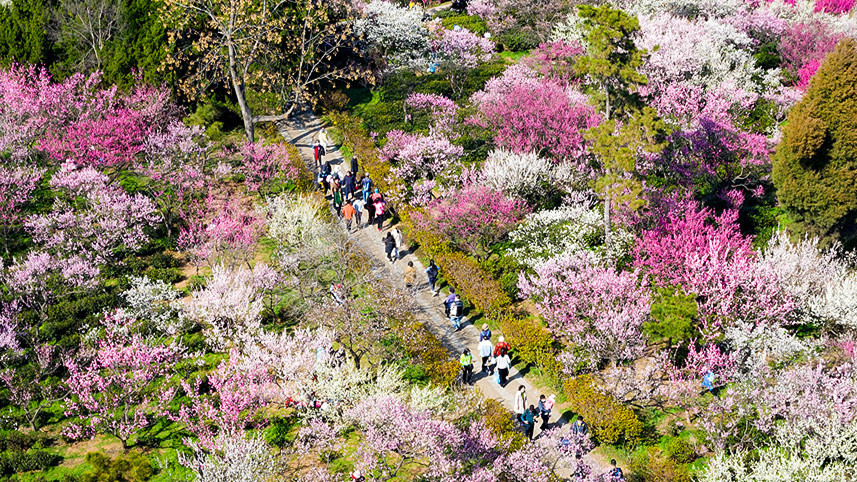 四川一高校放春假鼓励赏花恋爱，多地宣布春假清明连休6天
