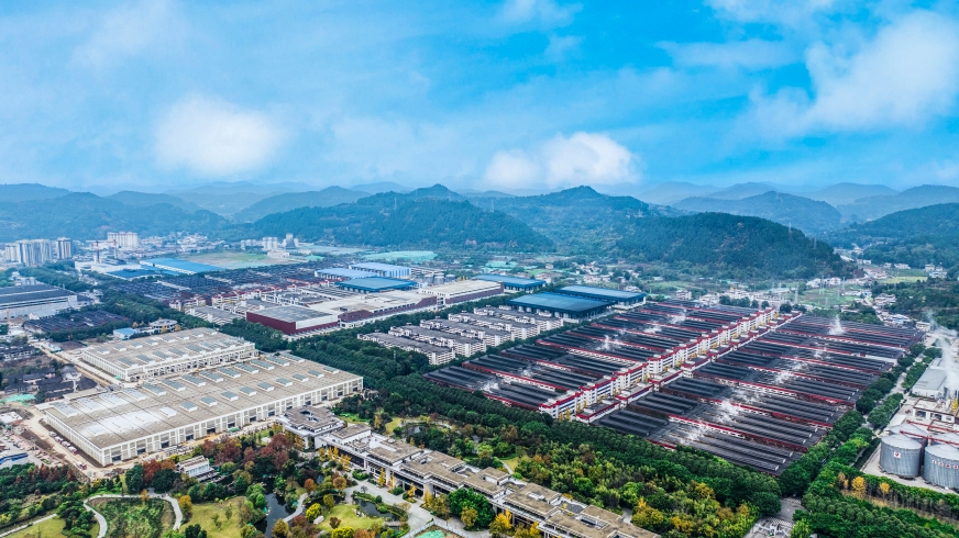 主动调整成效显现，机构增持叠加高比例分红，舍得酒业经营企稳释放价值信号