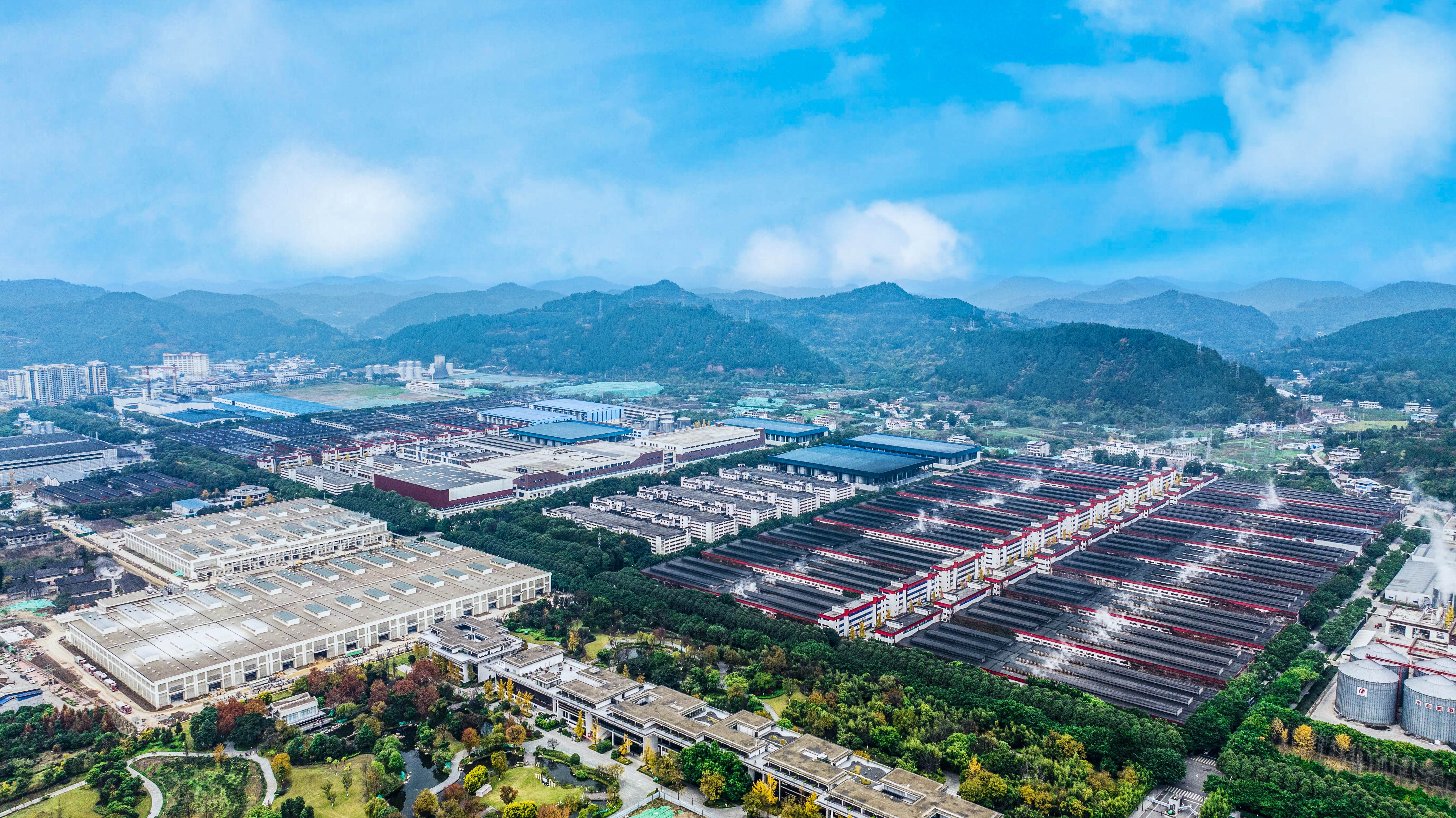 行业逆周期中营收率先企稳，舍得酒业一季度营收14.81亿元，净利润超去年全年