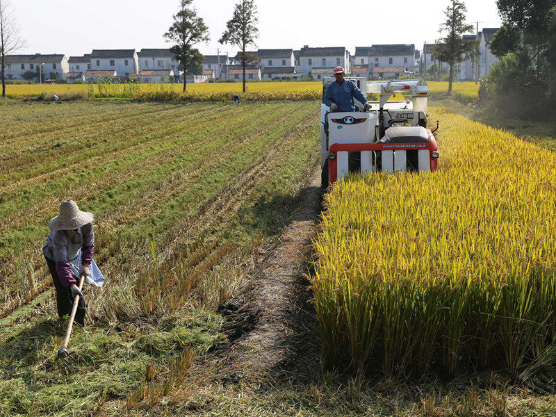 一季度农村居民收入增速快于城镇，促增收还有哪些政策支持？