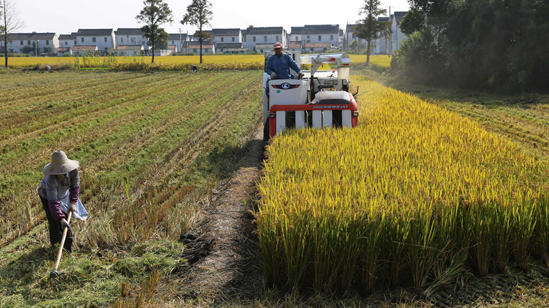 一季度农村居民收入增速快于城镇，促增收还有哪些政策支持？