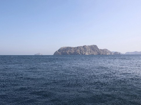 霍尔木兹海峡反复“开关”：美国、伊朗外交部和伊朗军方都在打什么算盘？