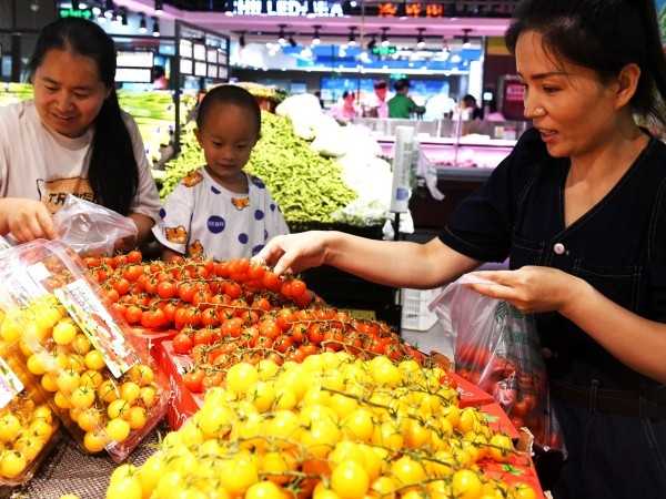 消费市场运行总体平稳，服务消费增势良好