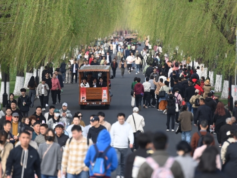 多个省份公布2025年人口“小普查”数据