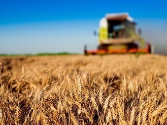 食品通胀卷土重来？气候、战争冲击全球农产品，小麦玉米创三年新高