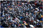 图片id6f41b35896d34351f645428d75a5ada6