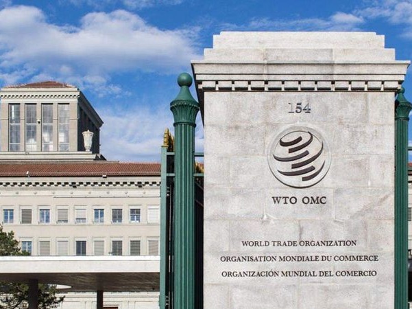 美国再次欠费，WTO新闻发言人答一财