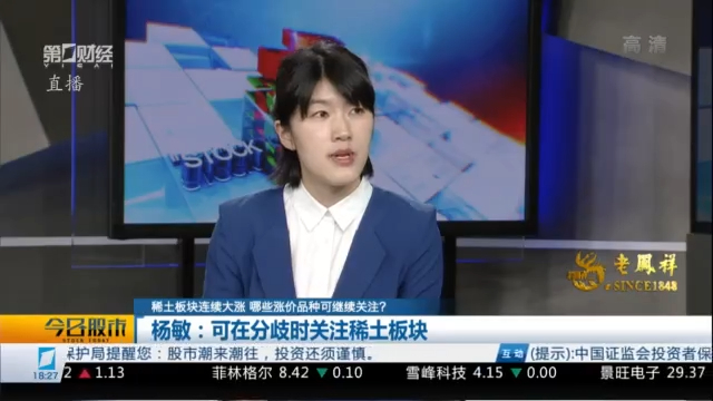 杨敏:可在分歧时关注稀土板块丨今日股市