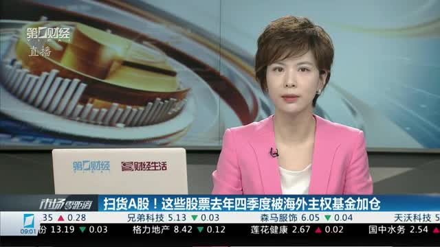 扫货A股！这些股票去年四季度被海外主权基金加仓｜刘婧视点