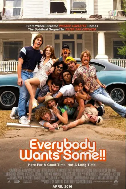 各有少年时海报