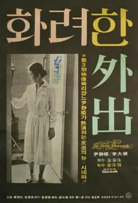 华丽的外出海报