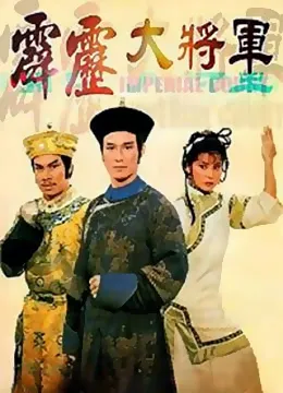 霹雳大将军海报