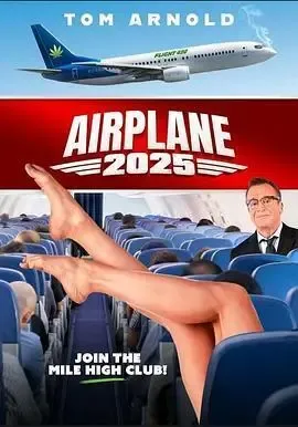 飞机2025