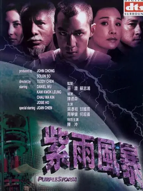 紫雨风暴海报