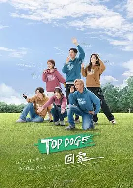 TOP DOG海报