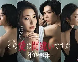 这份爱是错误吗～出轨的赎罪