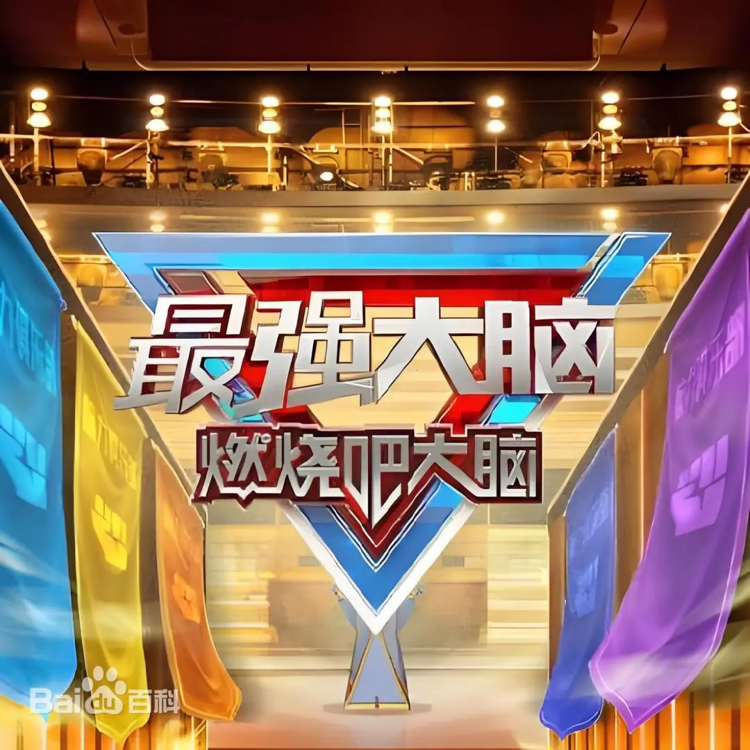 最强大脑 第十三季