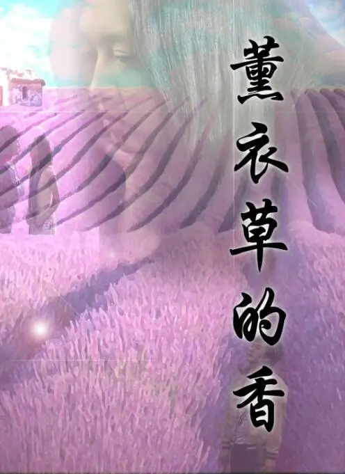 薰衣草的香海报