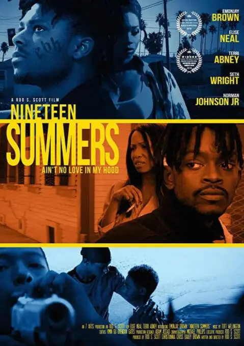 青涩岁月的夏季海报