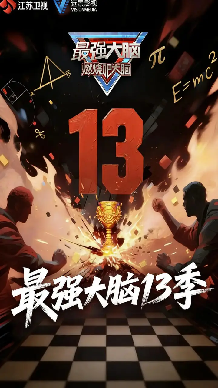最强大脑 第十三季