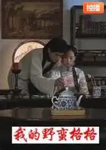 我的野蛮格格海报