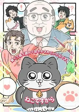 转生成猫的大叔海报