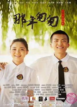 那年匆匆海报