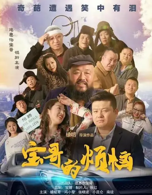 宝哥的烦恼海报