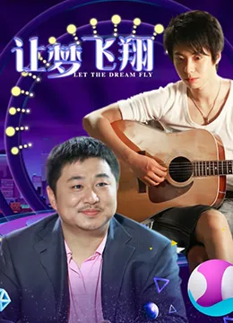 让梦飞翔海报