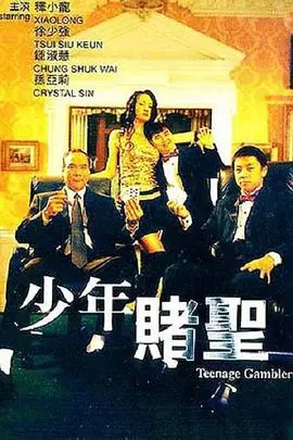 少年赌圣海报